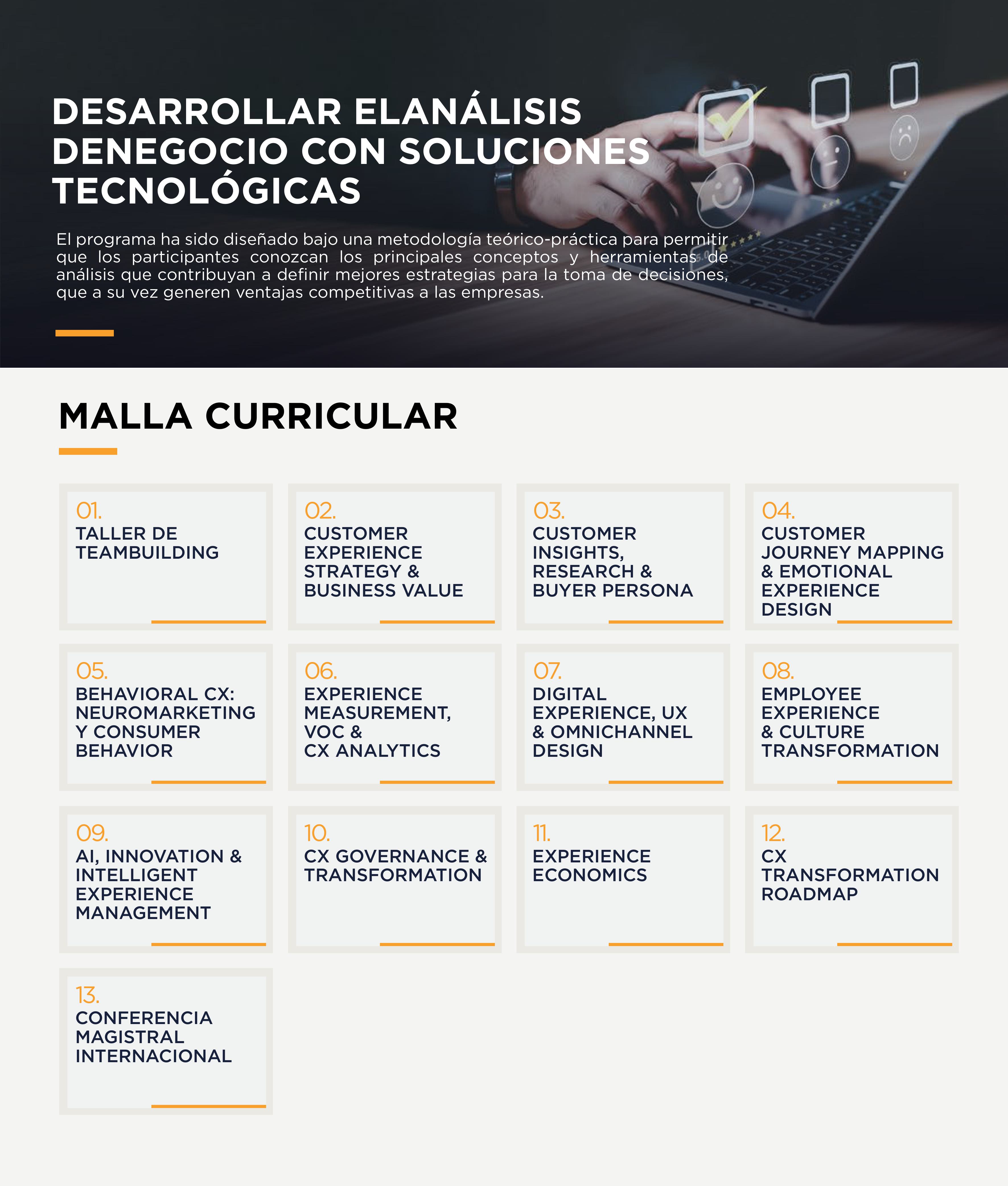 Malla Curricular - Programa Internacional en Customer Experience Management