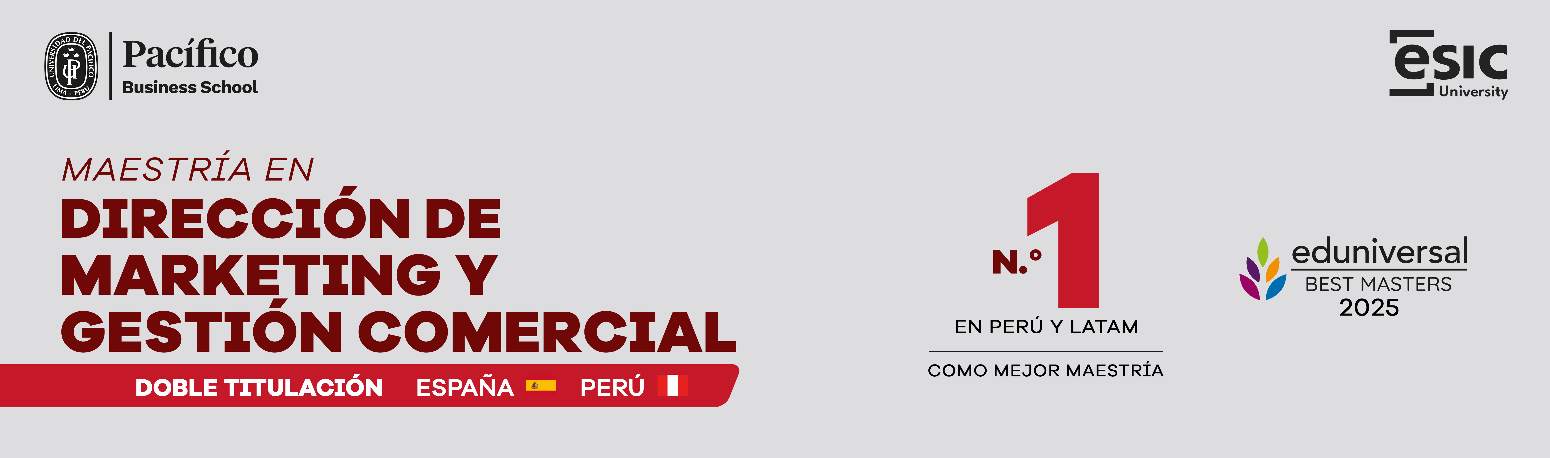 Maestría en Dirección de Marketing y Gestión Comercial, Marketing en la Universidad del Pacífico, Maestría en Marketing, Marketing UP