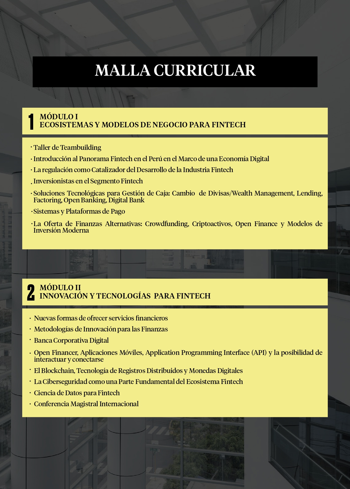 Malla Curricular - Programa en Fintech