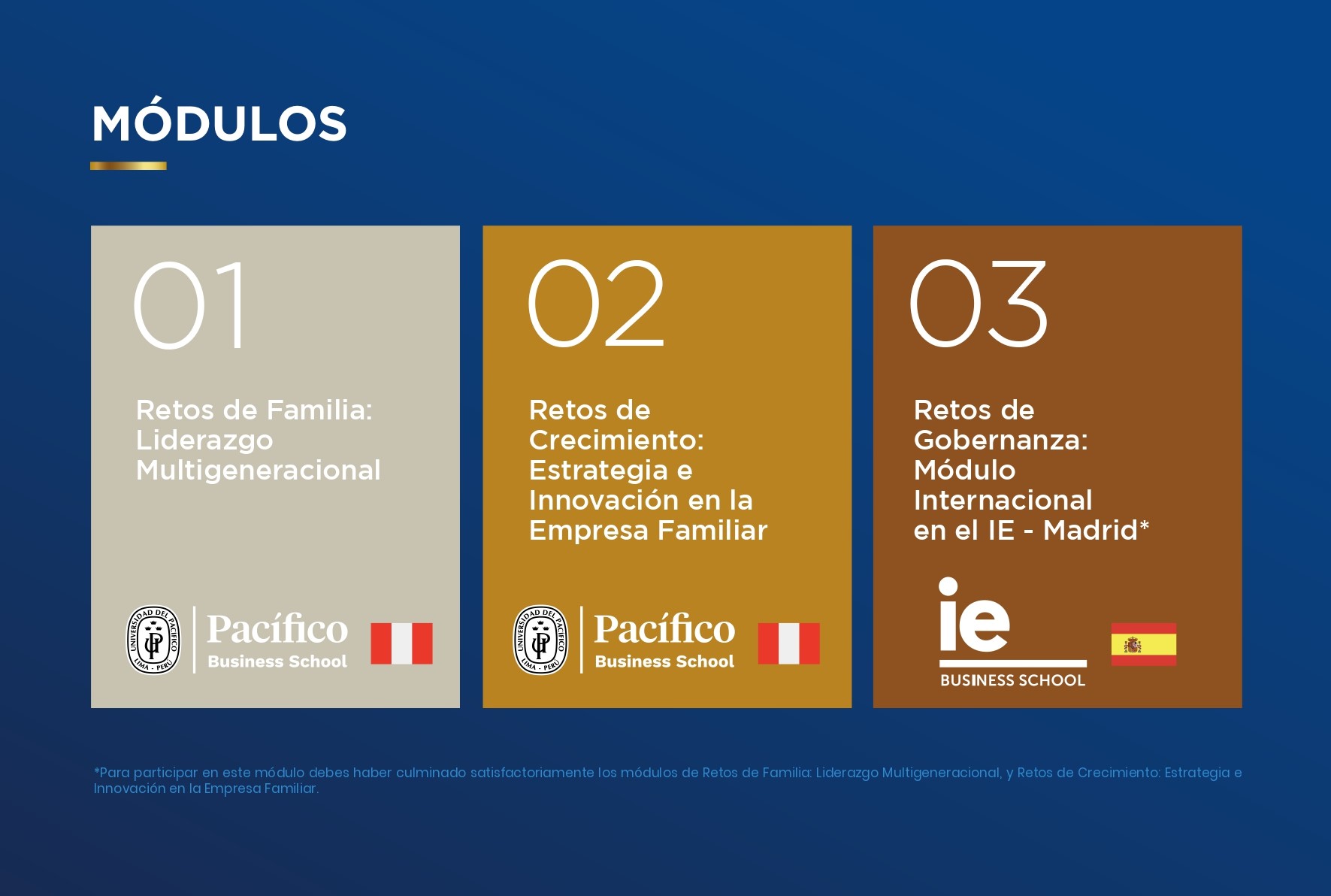 Malla Curricular del Programa Internacional para Familias Empresarias