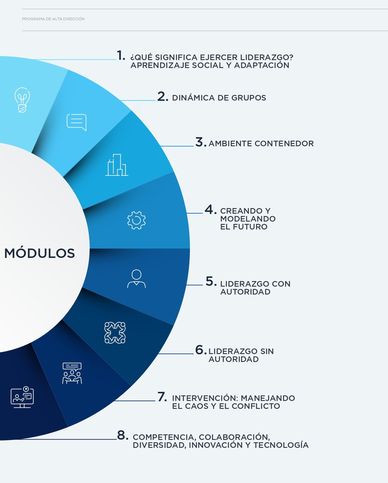 Malla Curricular - Programa de Liderazgo Estratégico y Adaptación al Cambio
