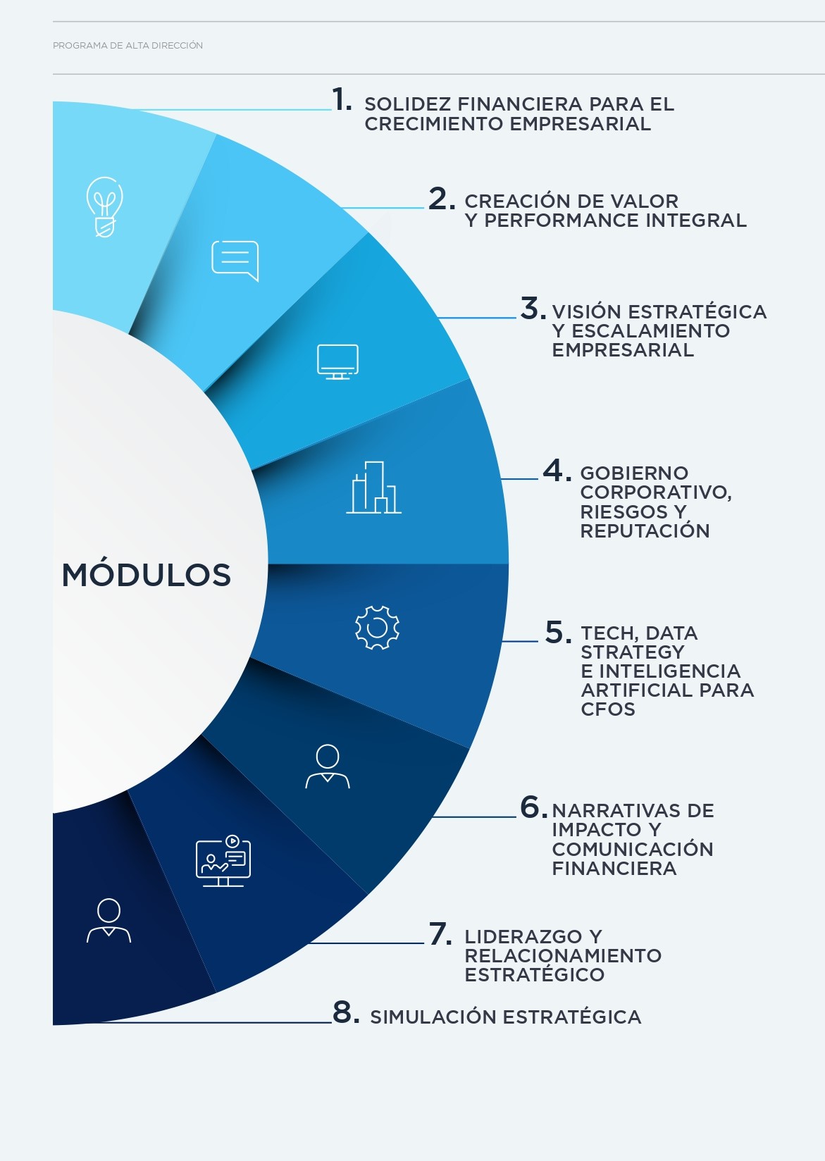 Malla Curricular - CFO Estratégico